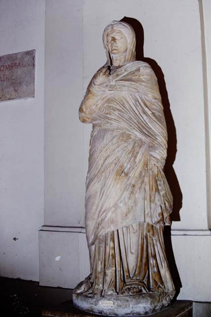 VII.16 Herculaneum, 1975. Marble statue of Viciria, mother of Nonius Balbus, found in the Basilica.
Photo by Stanley A. Jashemski.
Source: The Wilhelmina and Stanley A. Jashemski archive in the University of Maryland Library, Special Collections (See collection page) and made available under the Creative Commons Attribution-Non Commercial License v.4. See Licence and use details.
J68f1415
Now in Naples Archaeological Museum. Inventory number 6168.